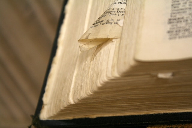 thrive, define, dictionary, definition, writers, writer, writing